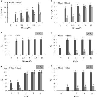 Effect Of Iba And Culture Temperature Shift On Micropropagation Of St