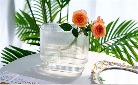 Amazon Fixwal Ribbed Clear Glass Vase Aesthetics Flower Vases