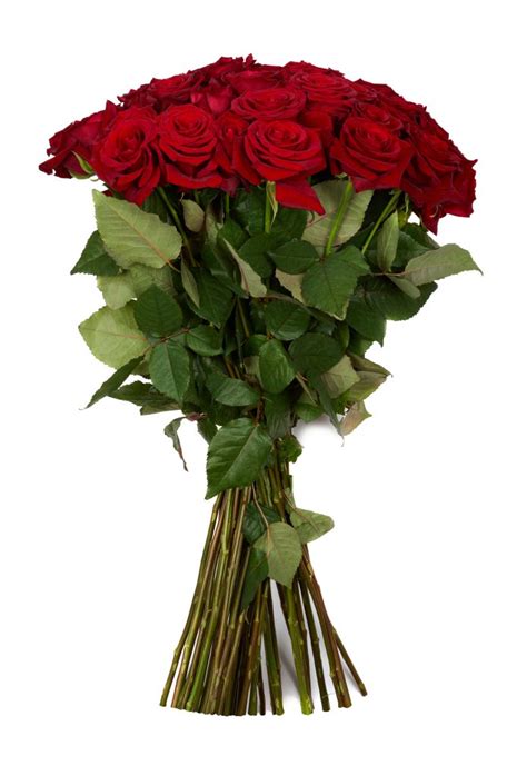 Bouquet De Roses Rouges Longues Tiges 70 Cm Autant De Fleurs Aubagne