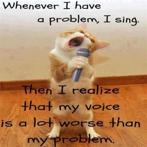 Funny Photos | Singing Cat