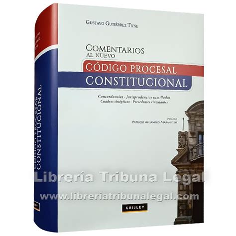 Comentarios Al Nuevo CÓdigo Procesal Constitucional