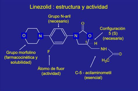 Aminogluc Sidos Macr Lidos Tetraciclinas Y Linezolid Quizlet