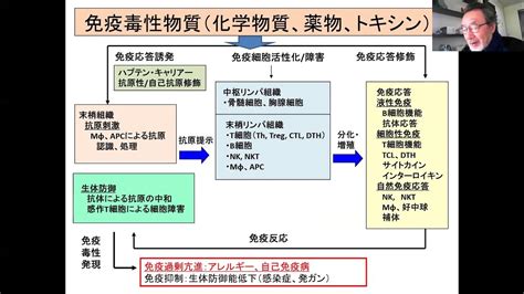 進化免疫13の2アレルゲン、化学物質とアレルギー Edit Youtube