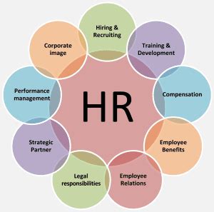 Key Considerations Before Outsourcing Your Business Hr Functions