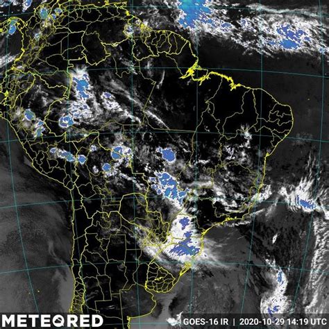 Radar De Aves Ao Vivo No Brasil A Experincia Mgica De Ver Pssaros Em Tempo Real