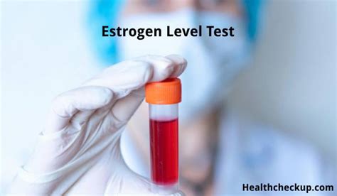 Estrogen Level Test: Understanding Its Importance, Procedure, and ...