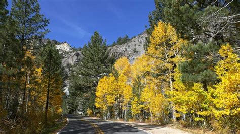 Ebbetts Pass National Scenic Byway Arnold Ca To Markleeville