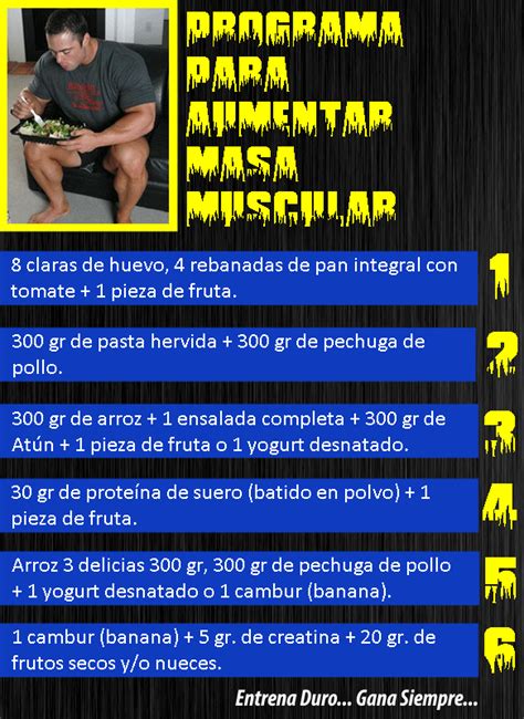 Aquí Les Dejamos Un Día De Alimentación Para Un Culturista Serio Que Desee Ganar Masa Muscular