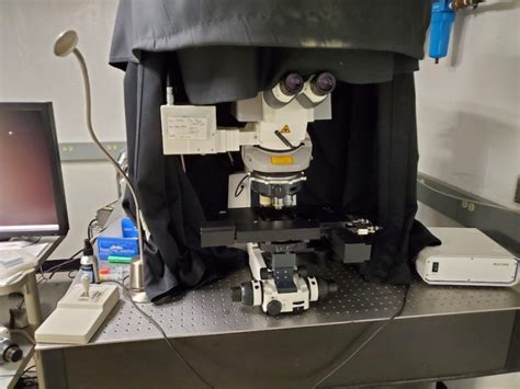 Zeiss Nlo Meta Microscope Facility