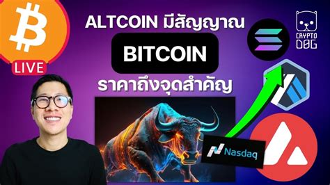 ข่าวคริปโต Altcoin มีสัญญาณ หลายเหรียญพุ่งแรง Bitcoin ราคาถึงจุด