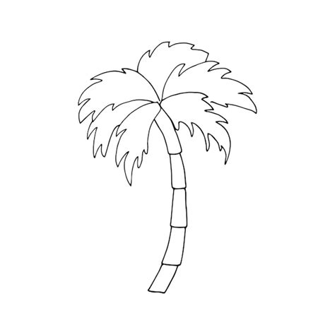 Una Palmera Con Un Contorno Negro Que Dice Palmera Vector Premium