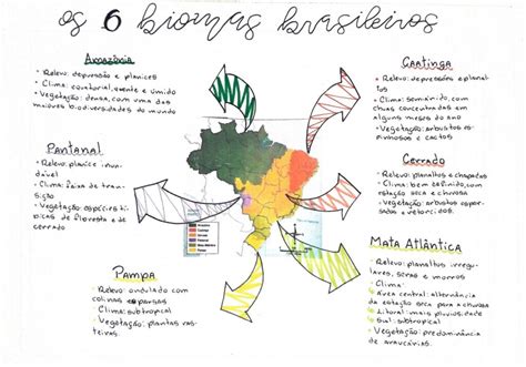 Mapa Mental Sobre Biomas Brasileiros Study Maps Hot Sex Picture