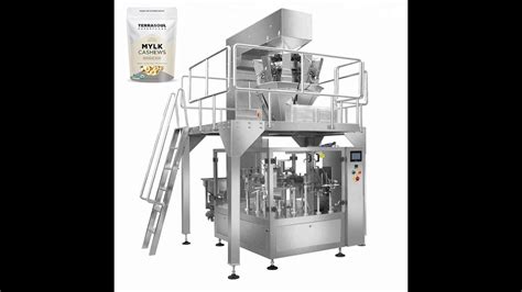 Automatic Doypack Pouch Packing Machine For Almonds Nuts Youtube