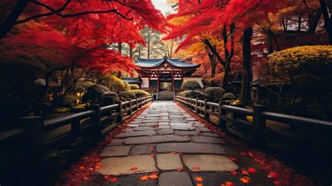 Street Art Japanese Images – Browse 20,811 Stock Photos, Vectors, and ...