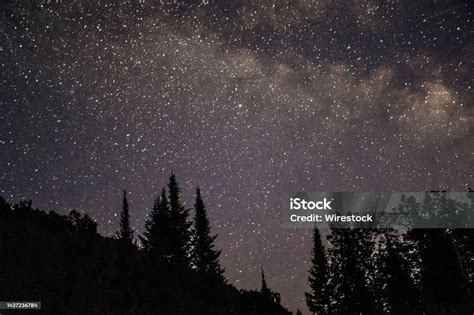 Silhouettes Of Trees Against Bright Starry Sky Background Stock Photo