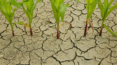 La Niña llega a Sudamérica en primavera 5Décadas