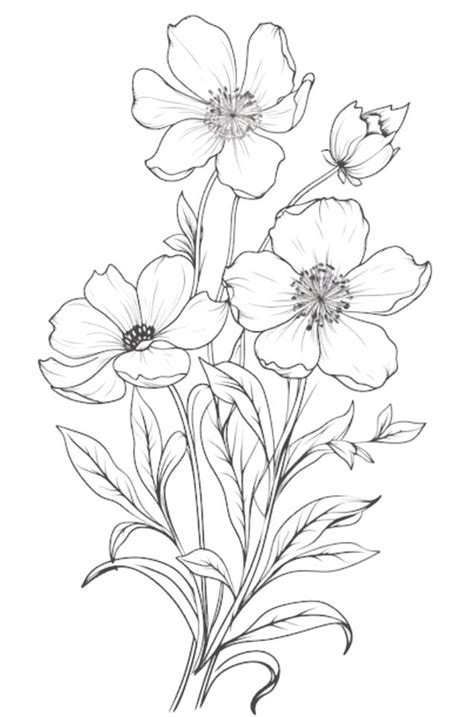 Pin By Myrna Nichols On Woodburning Flower Line Drawings Flower Art