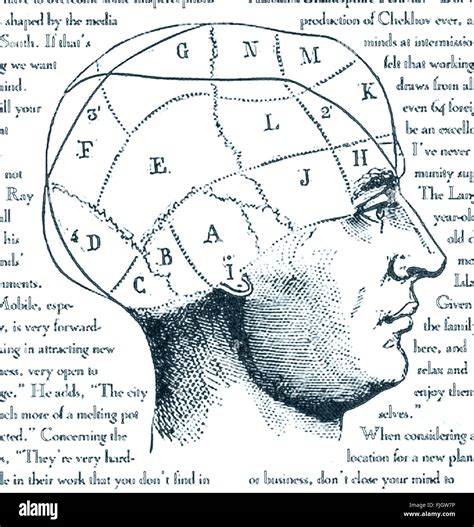 Aree Di Antico Disegno Del Cervello Illustrazione Medical Phrenology