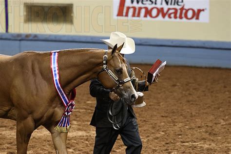 Morning Aqha Halter Champions Include Ross Roark With Sheza Secret