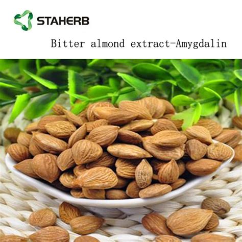 Buy Free Sample Amygdalin Extract Capsule Laetrile Powder Bitter Apricot Seed Extract From