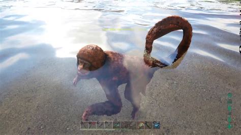 My Quest To Tame A Monkey In Ark Survival Evolved Youtube