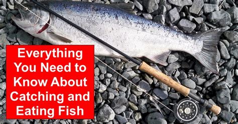 Everything You Need to Know About Catching and Eating Fish – reThinkSurvival.com