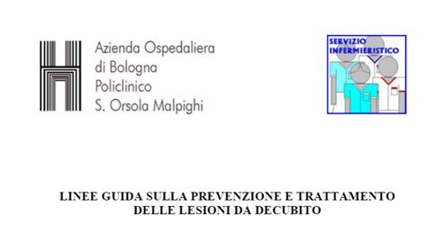 Linee Guida Sulla Prevenzione E Trattamento Delle Lesioni Da Decubito