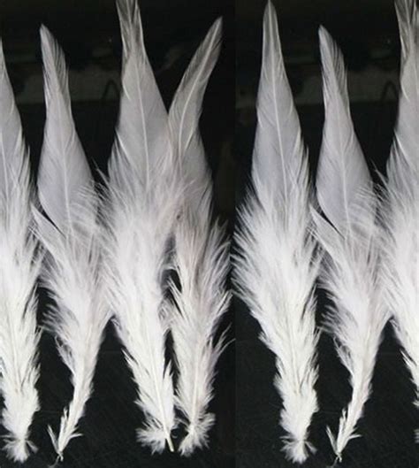 White and Cream Feathers | Arts & Crafts | Feather Planet