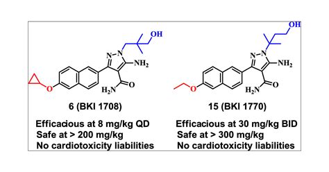 Development Of 5 Aminopyrazole 4 Carboxamide Based Bumped Kinase