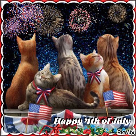 Cats Watching Fireworks Happy 4th Of July Pictures Photos And