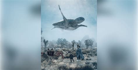 Air Turtle on Behance