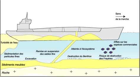 Impacts Sur Le Milieu Geo Ocean