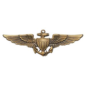 Naval Aviator Wings - Antique Finish - The Marine Shop