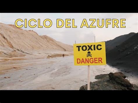 Caracter Sticas Del Ciclo Del Azufre Un Proceso Vital En La Naturaleza