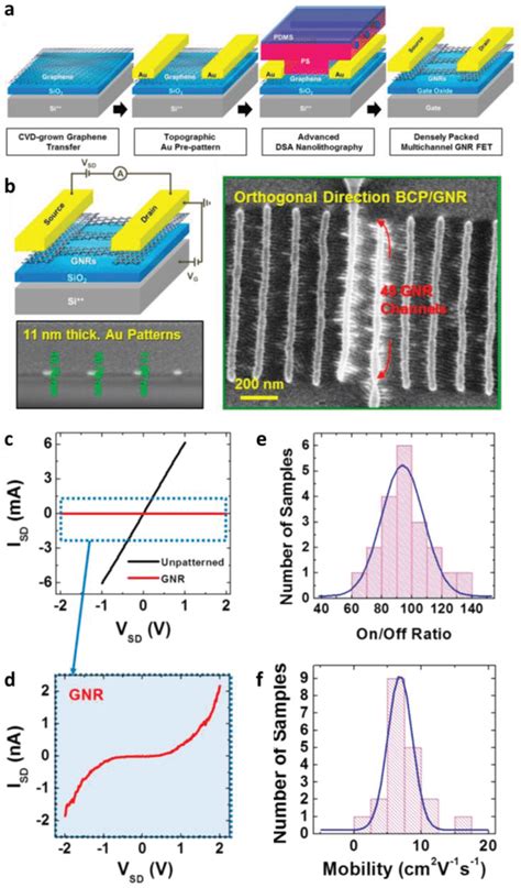 A Schematic Process Illustration Of Back‐gated Fet With Densely Packed Download Scientific