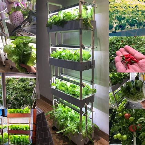 Torre Hidrop Nica Sistema De Cultivo Cultivos Hidrop Nicos