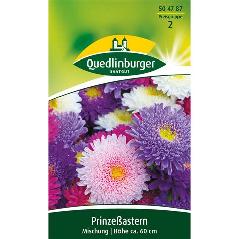 Quedlinburger Prinze Aster Mischung Kaufen Bei Obi