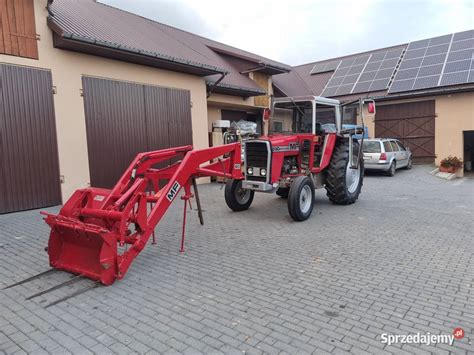 Ciągnik Massey Ferguson 590 Goraj Sprzedajemy pl