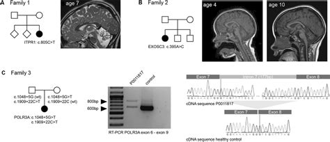 Clinical Information And Functional Variant Validation For Families