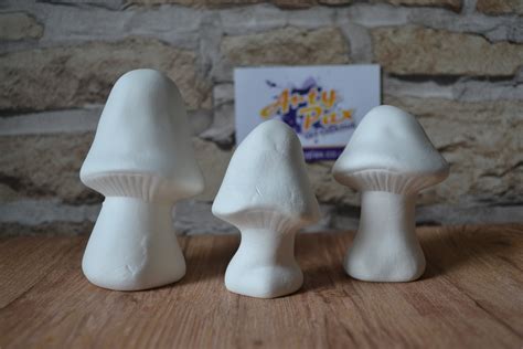 Ready To Paint Mushrooms Set Of 3 Ceramic Figures Garden Etsy