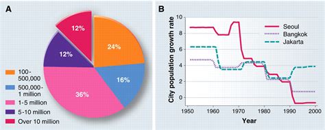 The Urban Transformation Of The Developing World Science