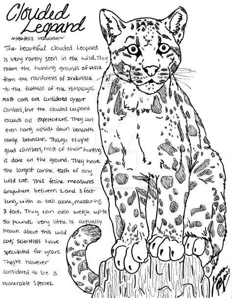 Clouded Leopard Coloring Page By Canis Simensis On Deviantart