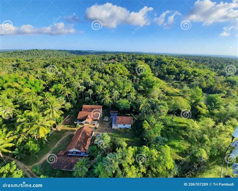 house surrounded  trees stock image image  plant soil