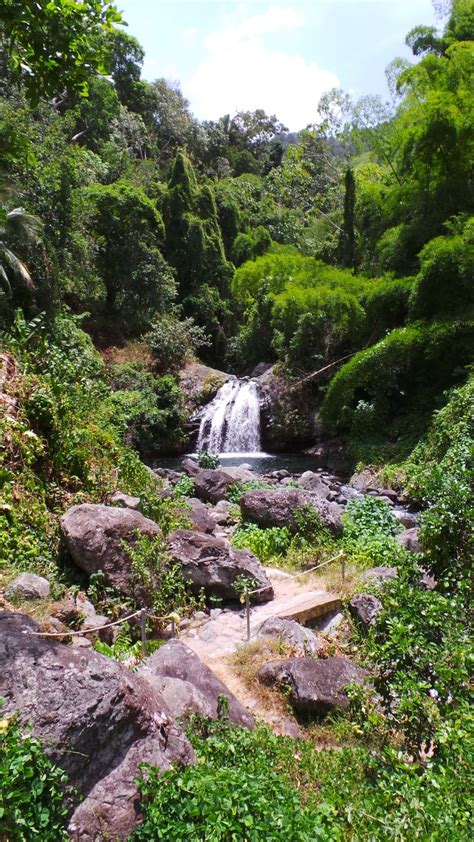 Jamaica - Blue Mountains Nice Picture, Picture Video, Cute Good Night ...