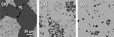 Surface Of NBT Eu Ceramics Thermally Treated At 1240 C A As Well As