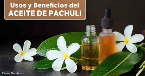 Aceite Herbal Usos Y Beneficios Del Aceite De Pachuli