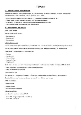 Resumen Tema Bacteriolog A Protocolos De Identificaci N Pdf