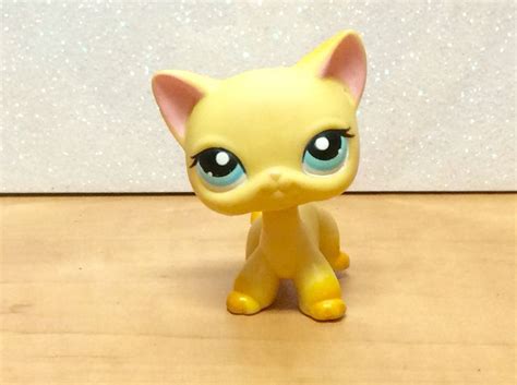 Lps Brooke Hayes Lps Popular Lps Cats Littlest Pet Shop