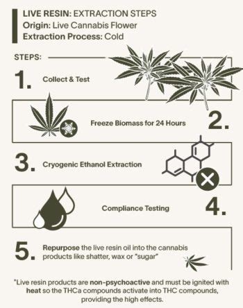 Live Resin Vs Distillate Whats The Real Difference Gro Up