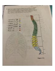 Image 2 24 19 9 56 PM Chapter 5 The Skeletal System 71 15 Figure 5